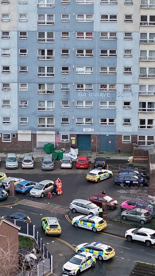 NINTCHDBPICT001048890689