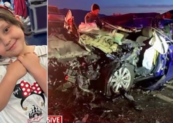 Arya Cruz Acencio, 8, was killed in the head-on collision when the car, allegedly driven by a drunken illegal alien, crossed a double yellow line in California.