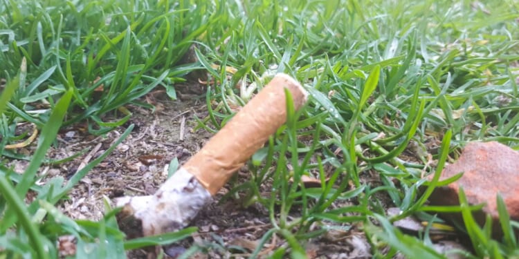 A cigarette butt similar to the one seen in this stock photo, collected at a crime scene more than 20 years ago, was the key to finding the suspect in a cold case involving the sexual assault of a 7-year-old girl.