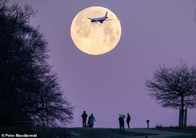 A plane bound for Heathrow was spotted from Richmond Park flying with the Wolf supermoon behind it