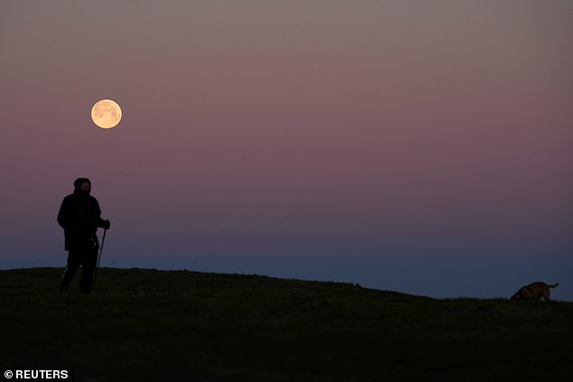 A man walks with a dog as the moon is seen in the background on a cold morning in the hills of Ditchling Beacon in East Sussex
