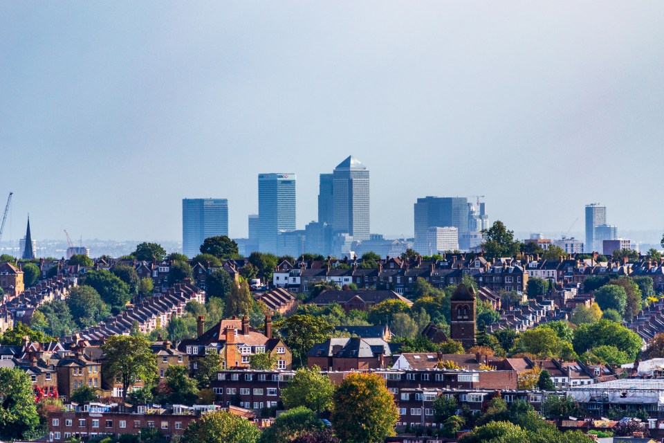 View from Alexandra Palace