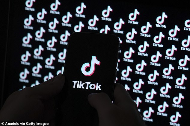 The Artists Collective will use TikTok to help them find budding entrepreneurs (Stock Image)