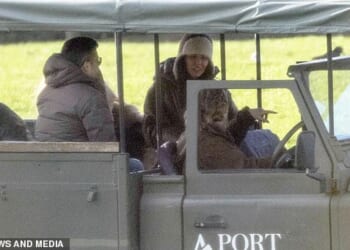 Cheryl in the open-sided safari Land Rover at Port Lympne during the £110 per person, two-and-a-half hour ¿ultimate safari¿