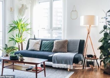 Now's the time to treat yourself to some new homeware or splash out on Le Creuset cups