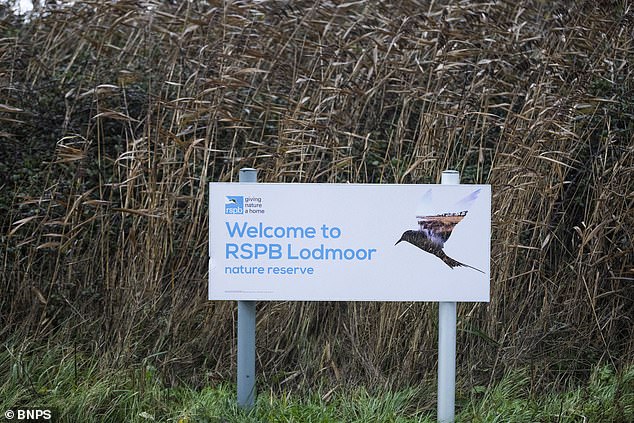 Work to cut back brambles and vegetation on footpaths around RSPB Lodmoor and RSPB Radipole in Weymouth will also stop, meaning they will soon become impassable to visitors