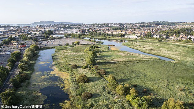 But the RSPB has caused anger after it announced it would cutback on its resources at two nearby wetland locations, Radipole (pictured) and Lodmoor