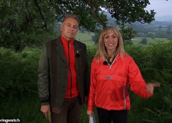 The RSPB has been accused of focusing its time and money on RSPB Arne, the Dorset site where Chris Packham and Michaela Strachan regularly host the acclaimed wildlife show