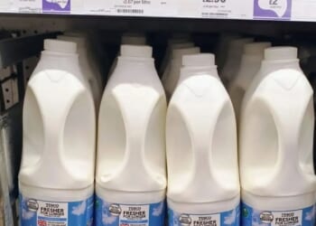 Tesco-branded milk accidentally sold at Sainsbury's after supplier mix-up as chain's bosses launch probe into blunder