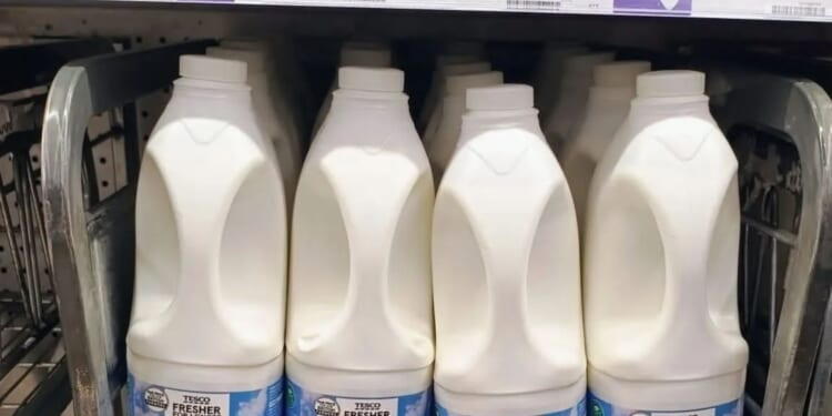 Tesco-branded milk accidentally sold at Sainsbury's after supplier mix-up as chain's bosses launch probe into blunder