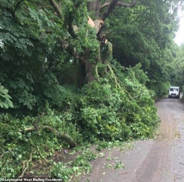 Residents claim that trees were knocked down during the development