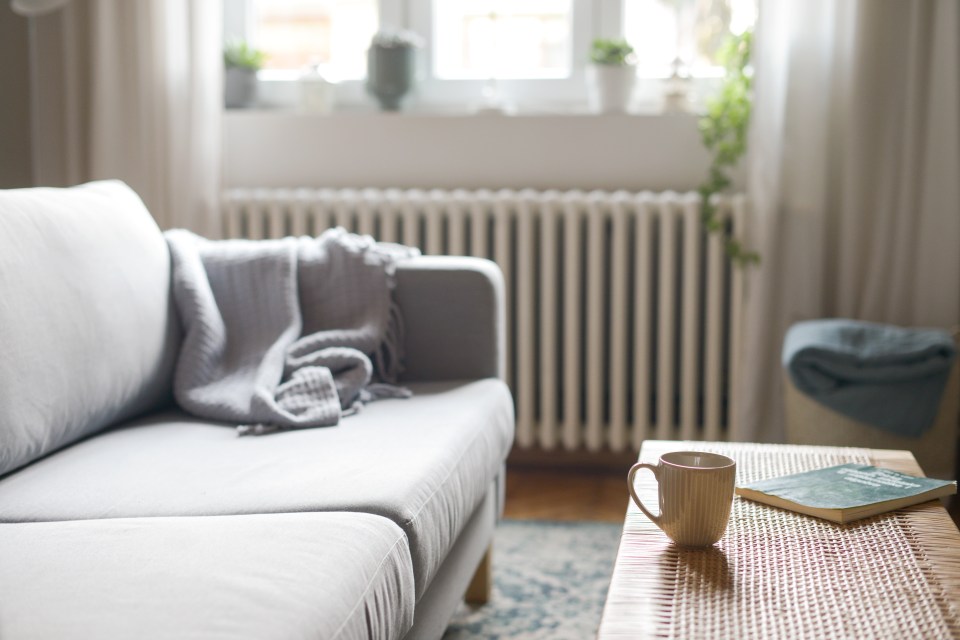 Comfortable home interior with a sofa, blanket, coffee mug, and book.