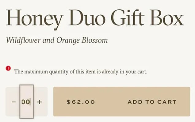 How the website looked after the bug was fixed