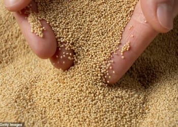 Amaranth was first cultivated by the Aztecs, but is prized today for its nutrient profile