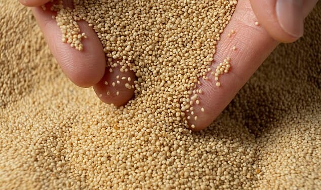 Amaranth was first cultivated by the Aztecs, but is prized today for its nutrient profile