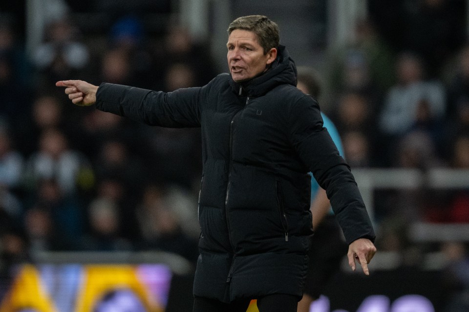 Newcastle United v Crystal Palace - Premier League