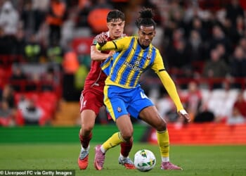 Damion Downs made 14 appearances for the Saints but failed to find the back of the net