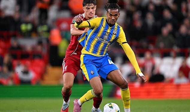 Damion Downs made 14 appearances for the Saints but failed to find the back of the net