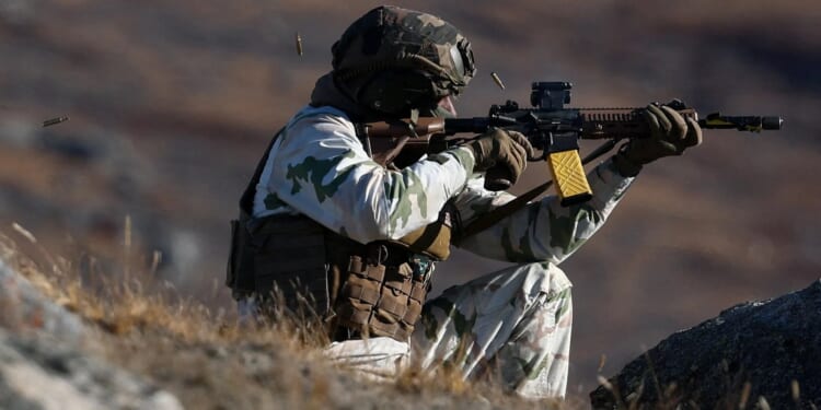 Denmark will ‘shoot first ask questions later’ if US invades Greenland