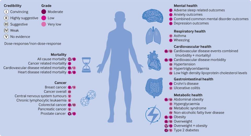 a diagram showing the levels of credibility and mental health
