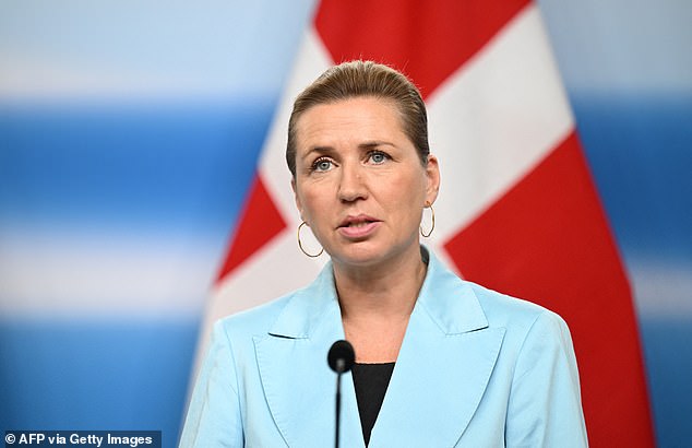 Danish prime minister Mette Frederiksen (pictured) warned earlier this week that if US attacks the territory of a Nato ally 'then everything would stop – that includes Nato and therefore post-second world war security'