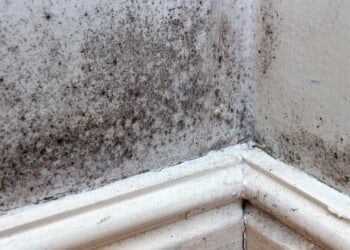 Exact temperature to set heating to stop mould this winter