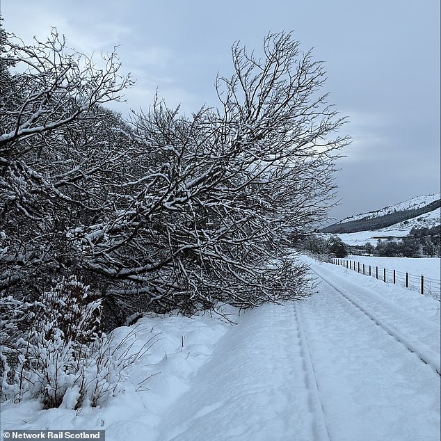 Network Rail tweeted this photo today of snow between Brora and Thurso on the Far North line