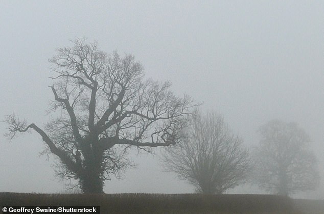 A foggy start to the day at Dunsden in Oxfordshire this morning ahead of Storm Goretti