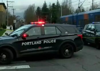 Federal agents shoot two people in Portland just a day after ICE agent killed Minneapolis activist as FBI launches probe