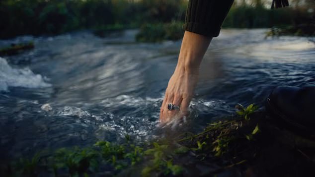 An aide described today's release as 'the culmination of a deeply personal creative project for The Princess'