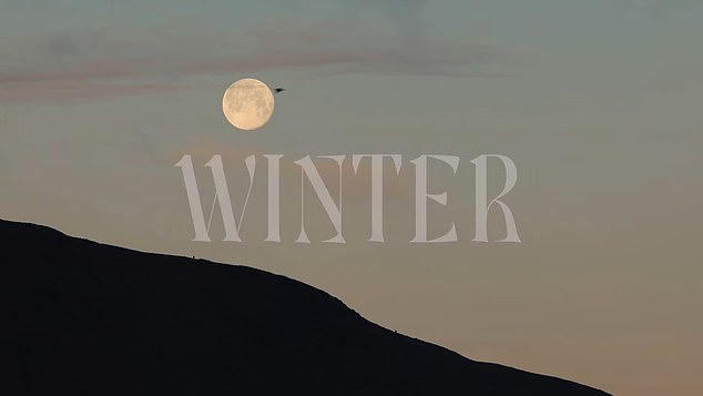 The Princess of Wales marked her 44th birthday today with the 'deeply personal' video about the comfort she has taken from nature during her cancer treatment