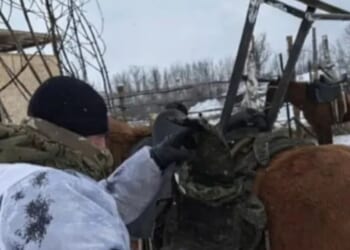 Putin deploys internet war horses with Starlink satellite dishes mounted on backs in latest bizarre frontline sighting