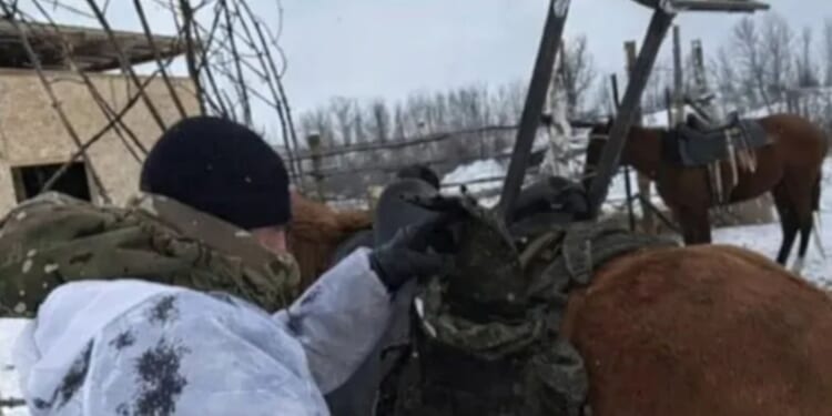 Putin deploys internet war horses with Starlink satellite dishes mounted on backs in latest bizarre frontline sighting