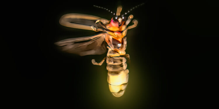 'Advanced' aliens might already be using spooky 'firefly' technique to talk to each other in PLAIN sight, say scientists