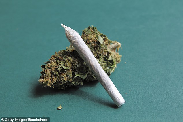 Data obtained under the freedom of information act shows that the total volume of weed prescribed in the UK increased from 2.7 million grams in 2022 to 9.8 million grams - almost ten tonnes - in 2024 (Stock image)