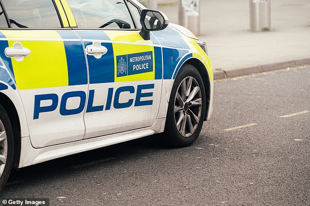 Earlier this week, the Metropolitan Policeadmitted that more than 130 officers and staff in Britain’s biggest police force had gone on to commit crimes or misconduct after being mistakenly let in the force due to vetting and employment check failures (file photo)