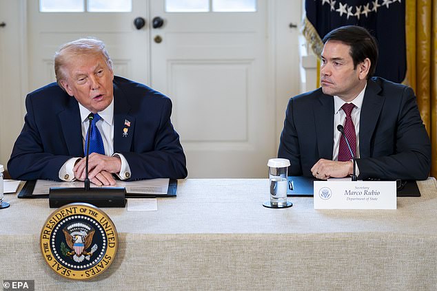 The president was asked about what possible money would be offered to purchase the territory after Secretary of State Marco Rubio (pictured right) reportedly told lawmakers Trump's intention was to buy it