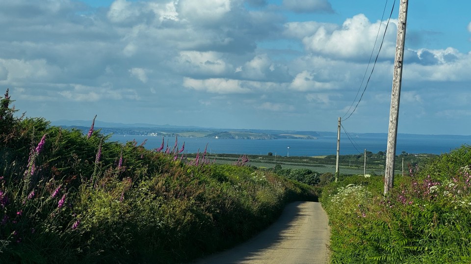 A scenic view of the sea from a narrow road lined with green plants and purple flowers, under a blue sky with white clouds.