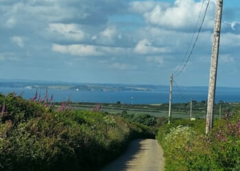 Man in his 50s found dead after tree falls onto caravan during Storm Goretti