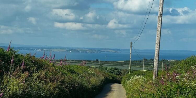Man in his 50s found dead after tree falls onto caravan during Storm Goretti