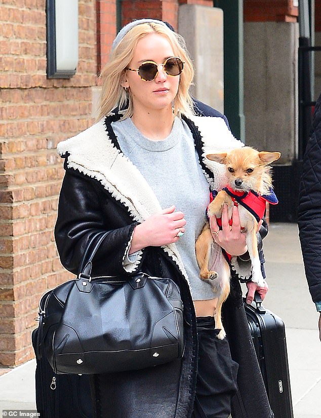 At one point, the Oscar winner said that her son had been bitten by her chihuahua and said 'that made me want to obliterate every dog ever.' However, she explained the dog is now safely living with her parents instead; seen above with her dog in 2016 in NYC