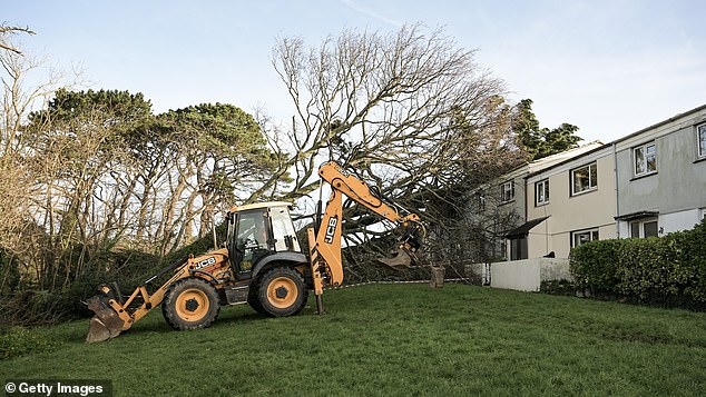 A digger removes a fallen tree from the garden of a property in Falmouth