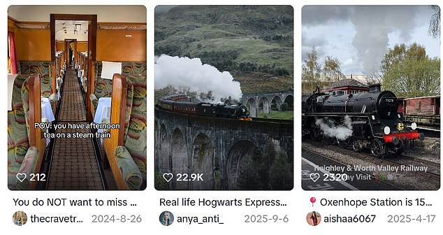 Travel content is ever more diverse on the platform, with almost every holiday niche finding a home; pictured: videos about steam train adventures on TikTok