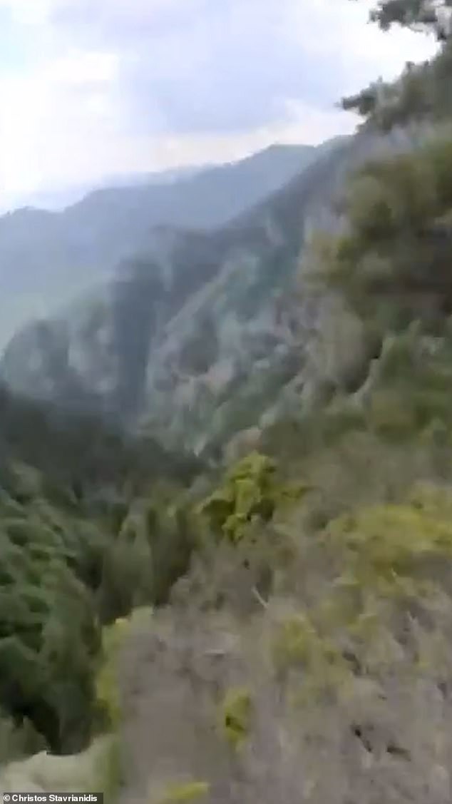 Stavrianidis plunges into a ravine with his screams echoing before the video cuts out
