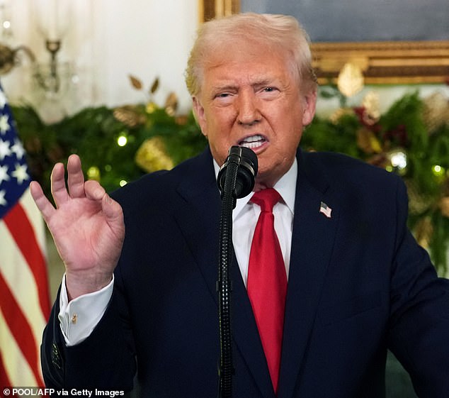 After the December 13 attack, President Donald Trump promised that 'a lot of damage done to the people that did it'