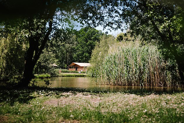 National parks are ruled by their own independent local authorities, who require extremely high levels of planning permission for development. Pictured: A holiday tent in The New Forest