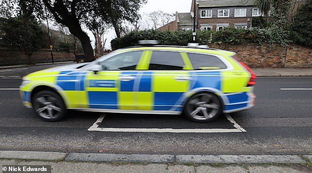 A police car is pictured going over one of the humps. Lewisham Council insisted 'all cushions are now within permitted sizes'