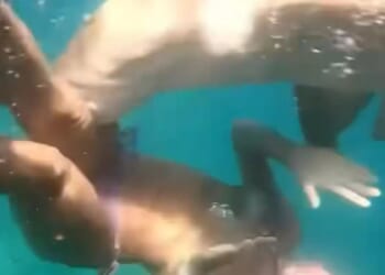 Horror moment tourist is bitten by shark that tries to drag her into depths