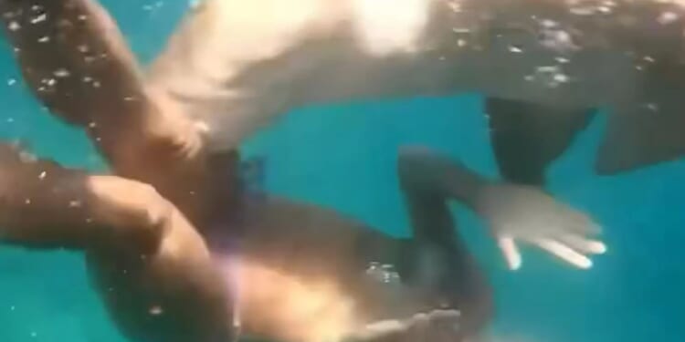 Horror moment tourist is bitten by shark that tries to drag her into depths