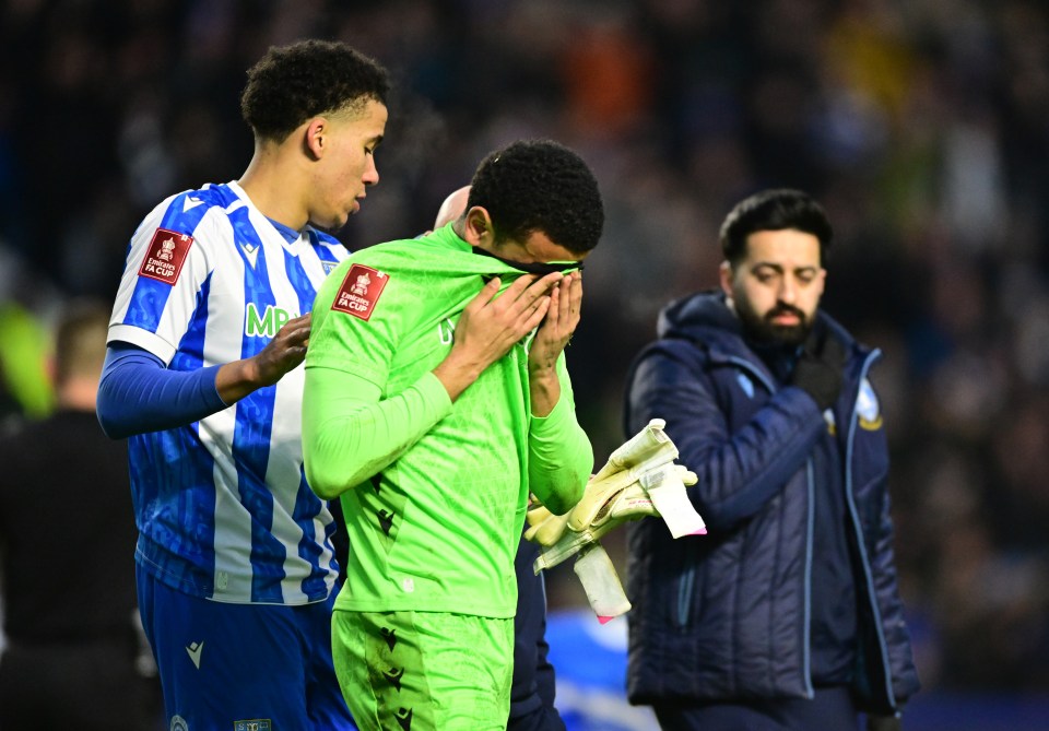 Sheffield Wednesday v Brentford - Emirates FA Cup Third Round